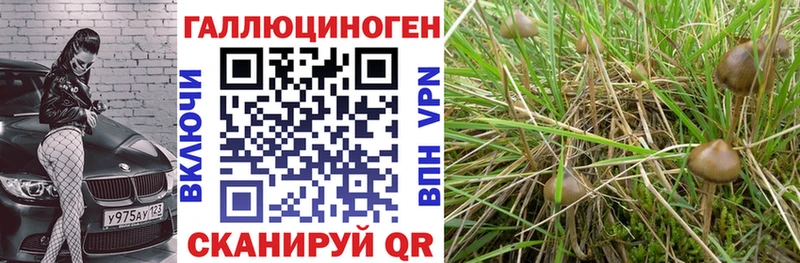 Галлюциногенные грибы MAGIC MUSHROOMS  Сухиничи 